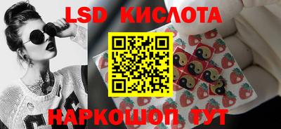 стафф Новозыбков