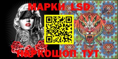 стафф Новозыбков