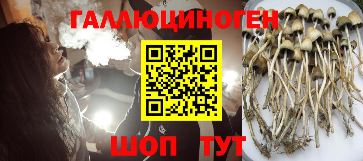 Галлюциногенные грибы Psilocybe  Вход с VPN  Чайковский  Галлюциногенные грибы Cubensis 